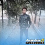 گفته بودی بلدی حال مرا