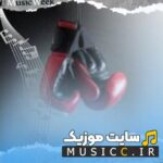 دانلود اهنگ های  خارجی خفن مخصوص باشگاه بوکس برای مبارزه