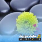 دانلود ریمیکس های معروف اهنگ خارجی لاولی از بیلی ایلیش ( گیتار – پیانو – ترند اینستا )