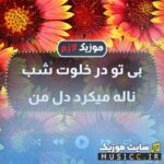 بی تو در خلوت شب