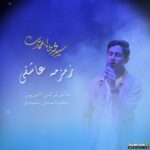 زمزمه ی عاشقی