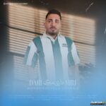 داری میری