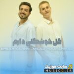 گل خوشگلی دارم