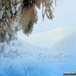 چند کلمه تا مرگ (بیکلام)